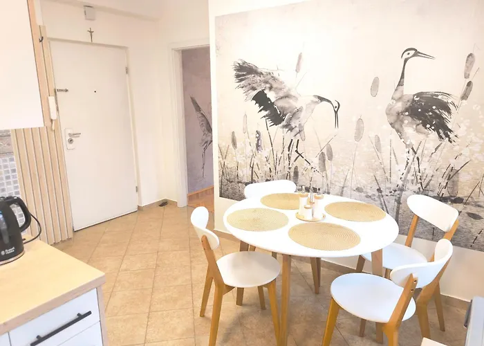 River Vidoq Apartament *