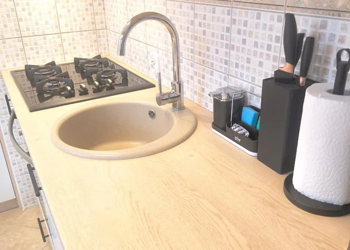 River Vidoq Apartament *